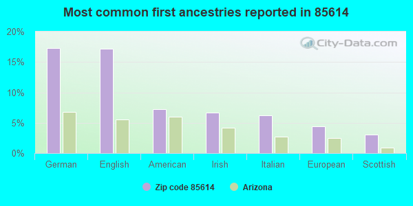 Most common first ancestries reported in 85614