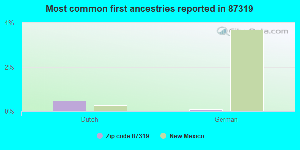Most common first ancestries reported in 87319