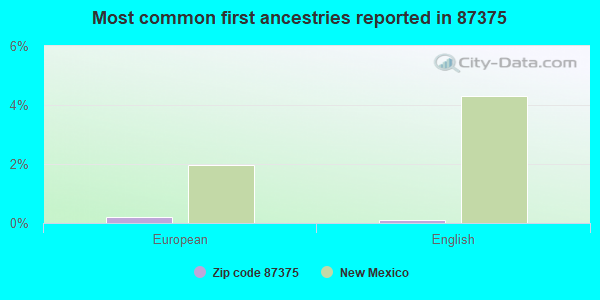 Most common first ancestries reported in 87375