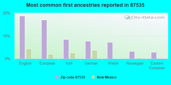 Most common first ancestries reported in 87535