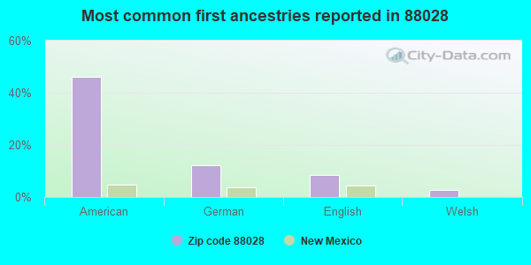 Most common first ancestries reported in 88028