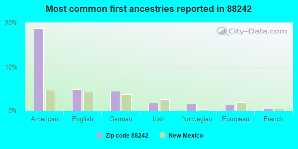 Most common first ancestries reported in 88242
