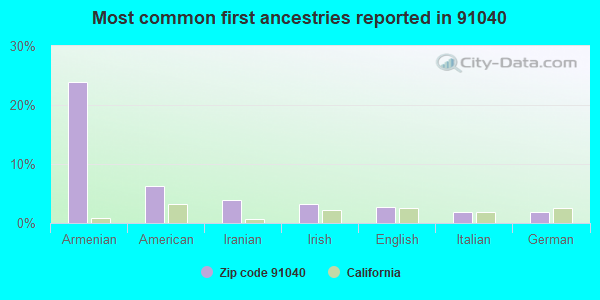 Most common first ancestries reported in 91040
