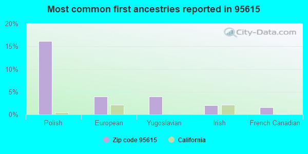 Most common first ancestries reported in 95615