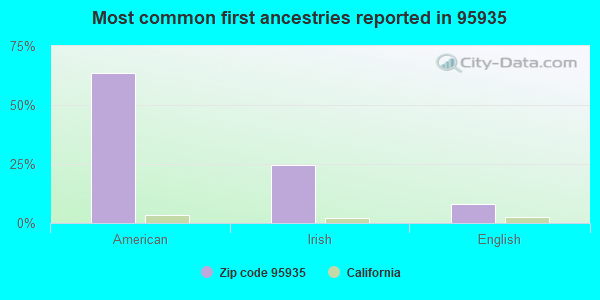Most common first ancestries reported in 95935