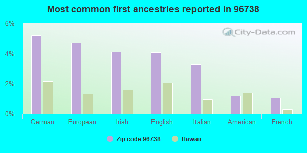 Most common first ancestries reported in 96738