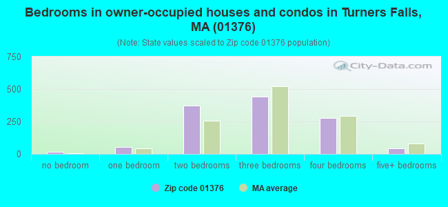 Bedrooms in owner-occupied houses and condos in Turners Falls, MA (01376) 
