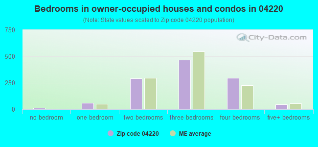 Bedrooms in owner-occupied houses and condos in 04220 