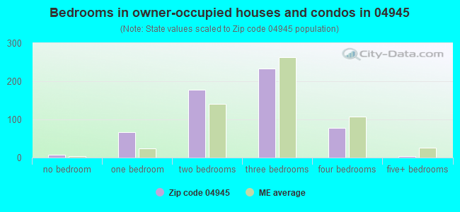 Bedrooms in owner-occupied houses and condos in 04945 