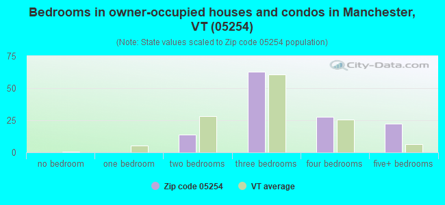 Bedrooms in owner-occupied houses and condos in Manchester, VT (05254) 
