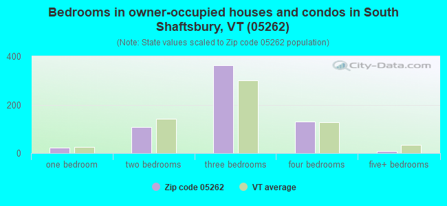 Bedrooms in owner-occupied houses and condos in South Shaftsbury, VT (05262) 
