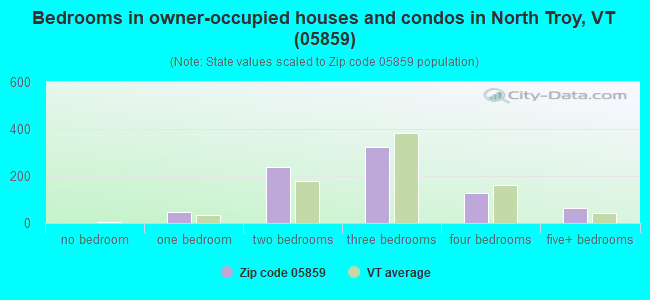 Bedrooms in owner-occupied houses and condos in North Troy, VT (05859) 