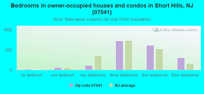 Bedrooms in owner-occupied houses and condos in Short Hills, NJ (07041) 