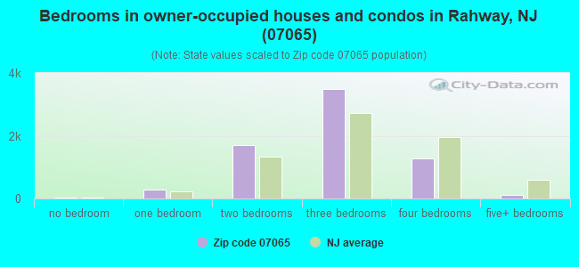 Bedrooms in owner-occupied houses and condos in Rahway, NJ (07065) 