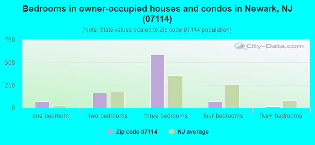 Bedrooms in owner-occupied houses and condos in Newark, NJ (07114) 