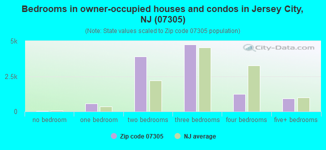 Bedrooms in owner-occupied houses and condos in Jersey City, NJ (07305) 