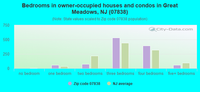 Bedrooms in owner-occupied houses and condos in Great Meadows, NJ (07838) 