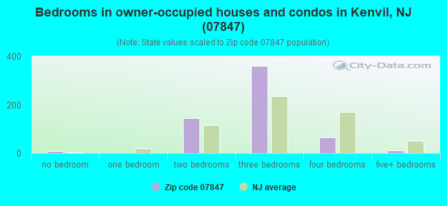Bedrooms in owner-occupied houses and condos in Kenvil, NJ (07847) 