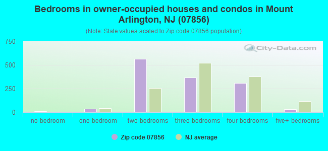 Bedrooms in owner-occupied houses and condos in Mount Arlington, NJ (07856) 
