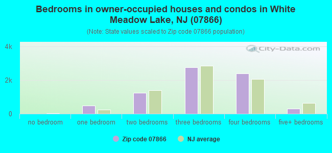 Bedrooms in owner-occupied houses and condos in White Meadow Lake, NJ (07866) 