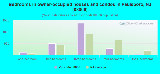 Bedrooms in owner-occupied houses and condos in Paulsboro, NJ (08066) 
