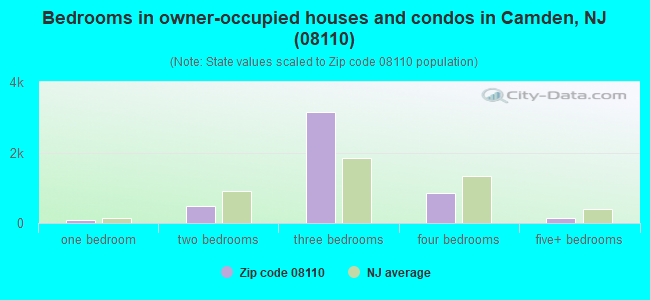 Bedrooms in owner-occupied houses and condos in Camden, NJ (08110) 