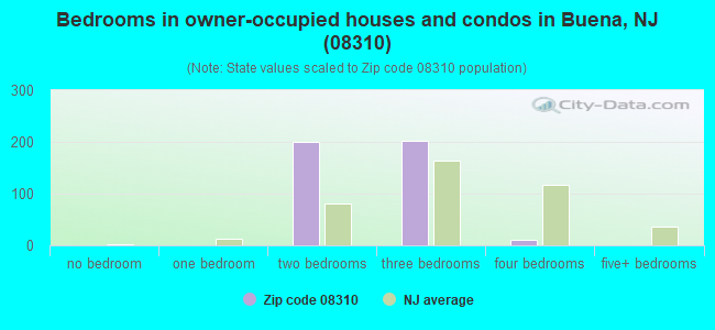 Bedrooms in owner-occupied houses and condos in Buena, NJ (08310) 