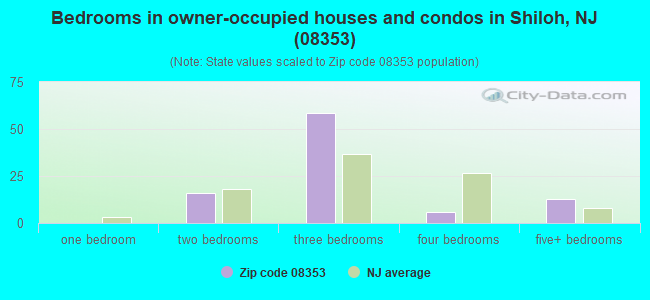Bedrooms in owner-occupied houses and condos in Shiloh, NJ (08353) 