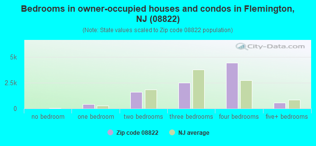 Bedrooms in owner-occupied houses and condos in Flemington, NJ (08822) 