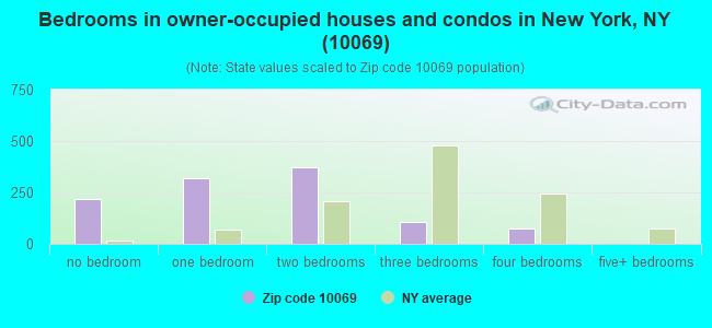 Bedrooms in owner-occupied houses and condos in New York, NY (10069) 