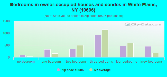 Bedrooms in owner-occupied houses and condos in White Plains, NY (10606) 