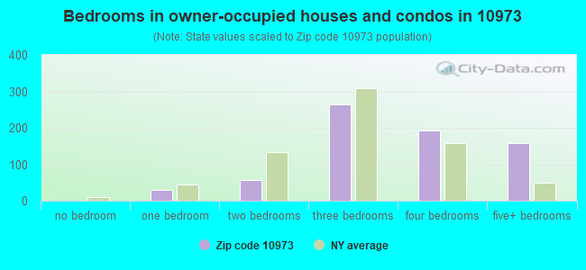 Bedrooms in owner-occupied houses and condos in 10973 