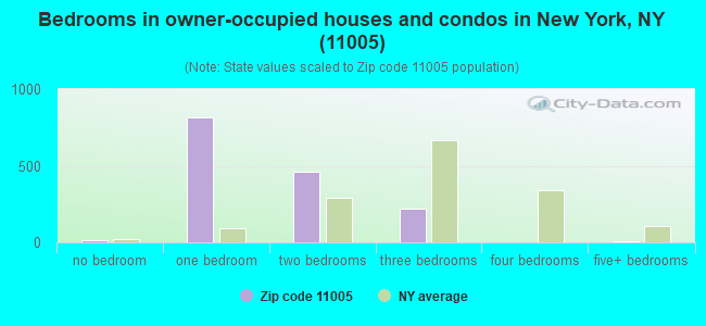 Bedrooms in owner-occupied houses and condos in New York, NY (11005) 