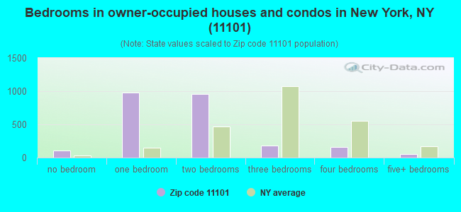 Bedrooms in owner-occupied houses and condos in New York, NY (11101) 
