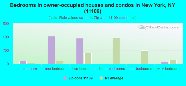 Bedrooms in owner-occupied houses and condos in New York, NY (11109) 