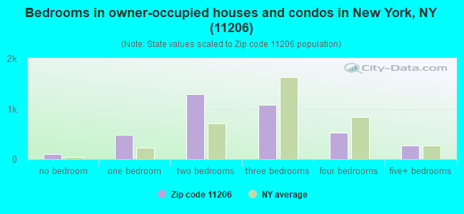 Bedrooms in owner-occupied houses and condos in New York, NY (11206) 