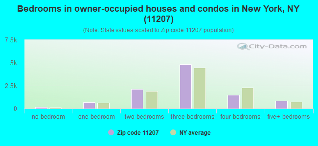Bedrooms in owner-occupied houses and condos in New York, NY (11207) 