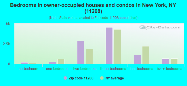 Bedrooms in owner-occupied houses and condos in New York, NY (11208) 