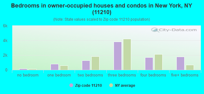 Bedrooms in owner-occupied houses and condos in New York, NY (11210) 