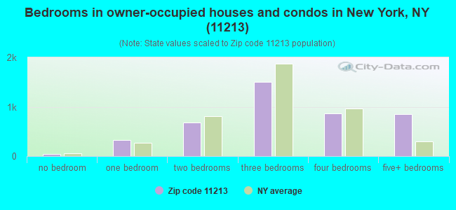 Bedrooms in owner-occupied houses and condos in New York, NY (11213) 
