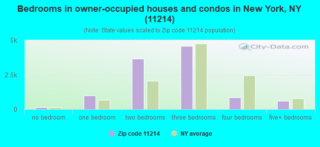 Bedrooms in owner-occupied houses and condos in New York, NY (11214) 