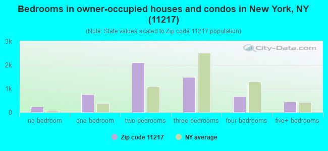 Bedrooms in owner-occupied houses and condos in New York, NY (11217) 