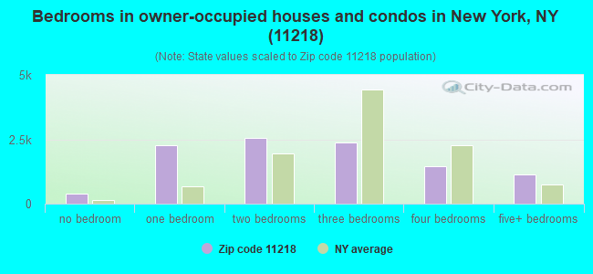 Bedrooms in owner-occupied houses and condos in New York, NY (11218) 