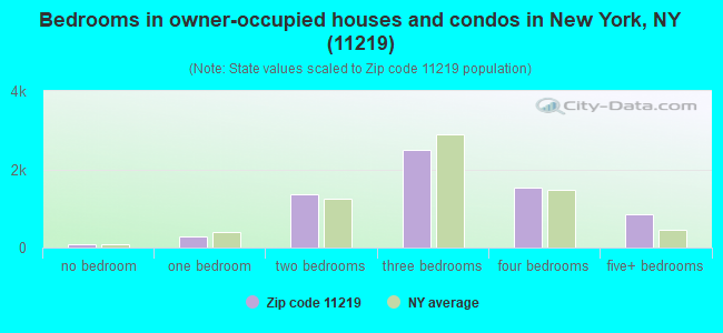 Bedrooms in owner-occupied houses and condos in New York, NY (11219) 
