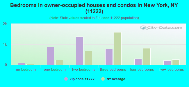 Bedrooms in owner-occupied houses and condos in New York, NY (11222) 