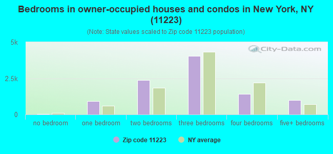 Bedrooms in owner-occupied houses and condos in New York, NY (11223) 