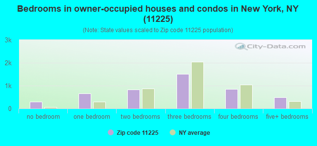 Bedrooms in owner-occupied houses and condos in New York, NY (11225) 