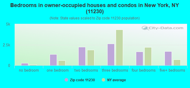Bedrooms in owner-occupied houses and condos in New York, NY (11230) 