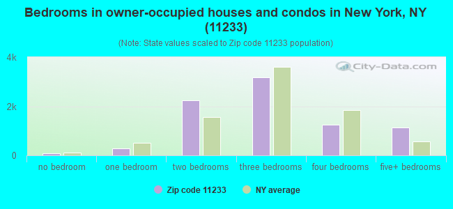 Bedrooms in owner-occupied houses and condos in New York, NY (11233) 