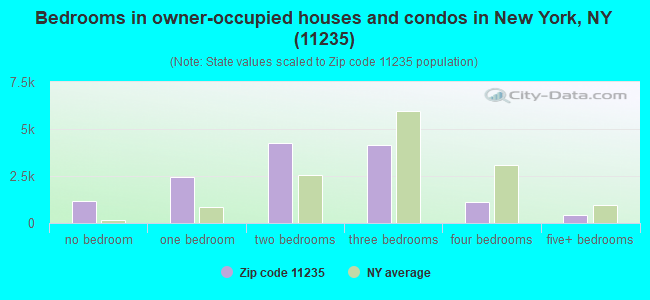 Bedrooms in owner-occupied houses and condos in New York, NY (11235) 